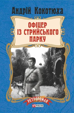 Андрій Кокотюха Офіцер із Стрийського парку обложка книги