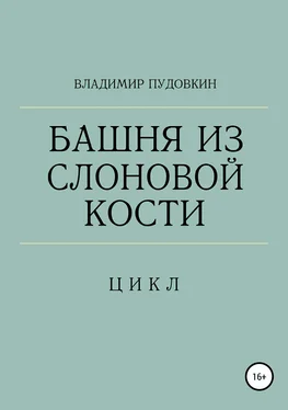 Владимир Пудовкин Башня из слоновой кости обложка книги