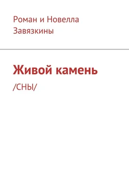 Роман и Новелла Завязкины Живой камень. /СНЫ/ обложка книги