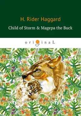 Генри Райдер Хаггард Child of Storm & Magepa the Buck обложка книги