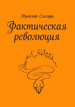 Николай Слесарь Фактическая революция обложка книги