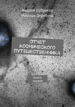 Андрей Цубриков Отчет космического путешественника. Книга первая обложка книги