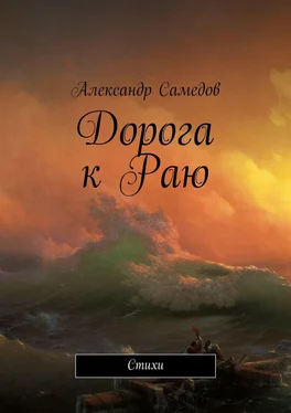 Александр Самедов Дорога к Раю. Стихи обложка книги