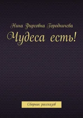 Нина Городничева - Чудеса есть! Сборник рассказов