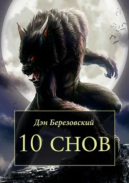 Дэн Березовский 10 снов обложка книги