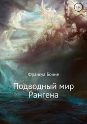 Франсуа Бонне - Подводный мир Рангена