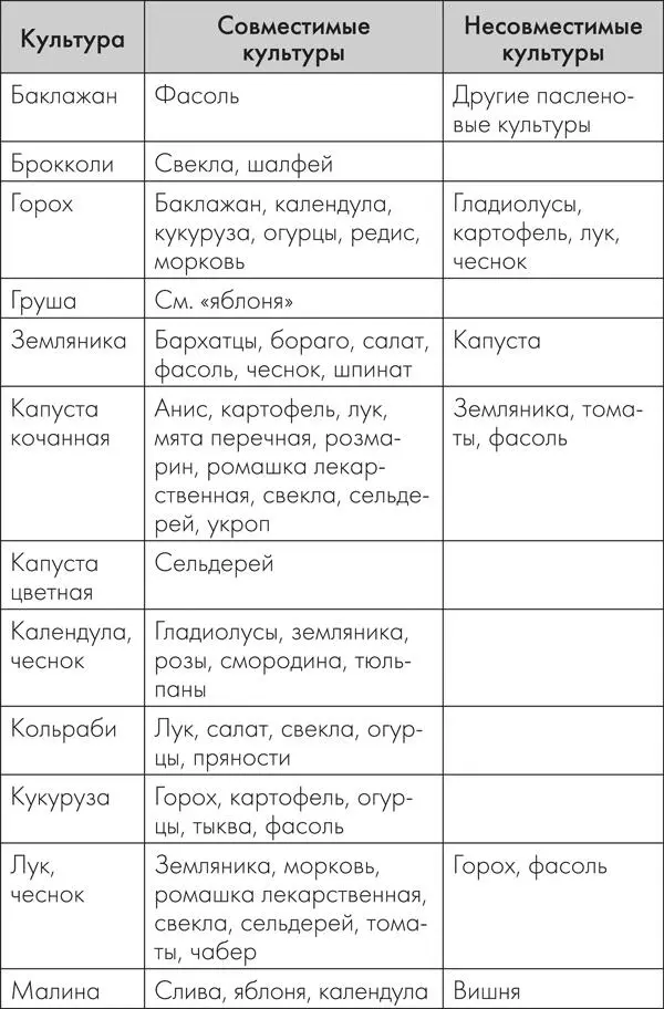 Предшественники Землянику нельзя сажать после картофеля томатов огурцо - фото 10