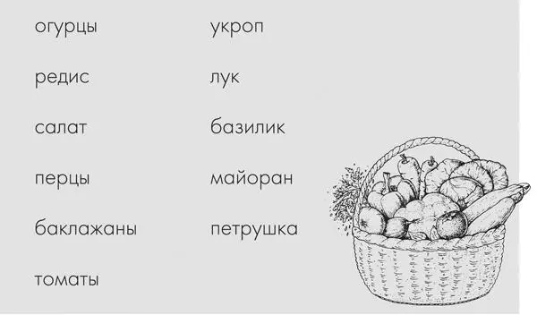 Кроме того я выращиваю в ней рассаду Помимо этого еще и подсаживаю раннюю - фото 1