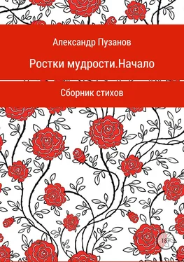 Александр Пузанов Ростки мудрости. Начало. Сборник стихотворений обложка книги