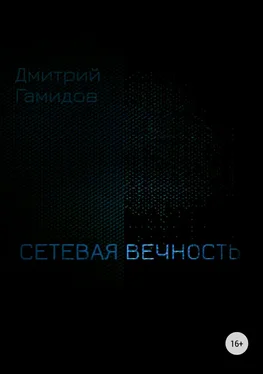 Дмитрий Гамидов Сетевая вечность обложка книги