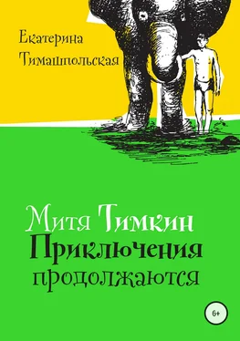 Екатерина Тимашпольская Митя Тимкин. Приключения продолжаются обложка книги