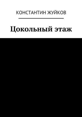 Константин Жуйков Цокольный этаж обложка книги
