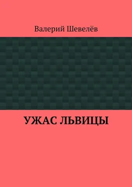 Валерий Шевелёв Ужас львицы обложка книги