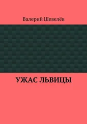 Валерий Шевелёв - Ужас львицы