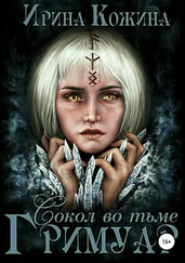 Ирина Кожина - Гримуар. Сокол во тьме