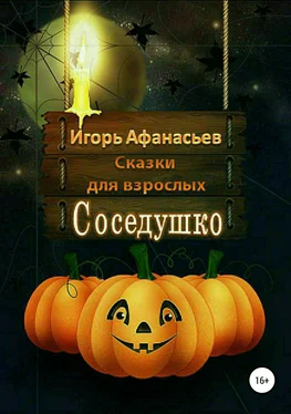 Игорь Афанасьев Соседушко обложка книги