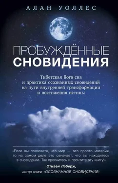 Алан Уоллес Пробуждённые сновидений: тибетская йога сна и практика осознанных сновидений на пути внутренней трансформации и постижения истины обложка книги