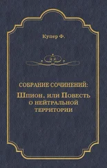 Джеймс Фенимор Купер - Шпион, или Повесть о нейтральной территории