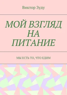 Виктор Зуду Мой взгляд на питание. Мы есть то, что едим обложка книги