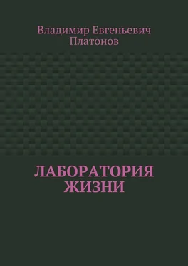 Владимир Платонов Лаборатория жизни обложка книги
