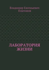Владимир Платонов - Лаборатория жизни