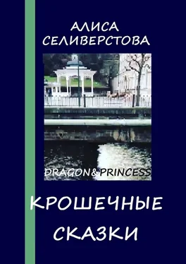 Алиса Селиверстова Крошечные сказки. Dragon&Princess обложка книги