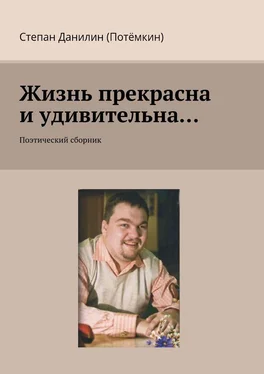 Степан Данилин (Потёмкин) Жизнь прекрасна и удивительна… Поэтический сборник обложка книги