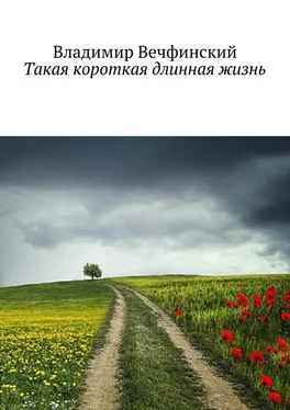 Владимир Вечфинский Такая короткая длинная жизнь обложка книги
