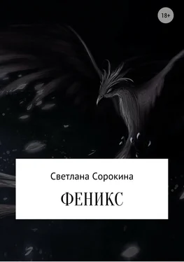 Светлана Сорокина Феникс обложка книги