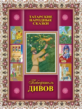 Array Сборник Победитель дивов. Татарские народные сказки обложка книги