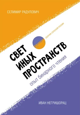 Селимир Радулович Свет иных пространств: опыт бинарного чтения. Сборник сербской поэзии обложка книги