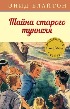 Энид Блайтон Тайна старого туннеля обложка книги