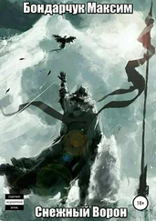 Максим Бондарчук - Снежный ворон