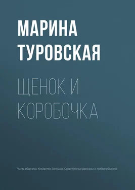 Марина Туровская Щенок и коробочка обложка книги