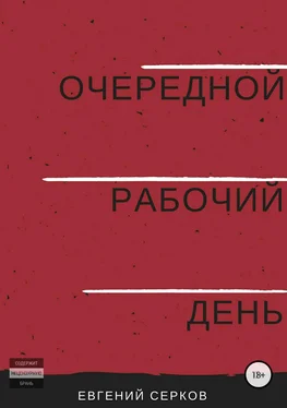 Евгений Серков Очередной рабочий день обложка книги