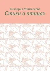 Виктория Мингалеева - Стихи о птицах