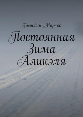 Господин Марков Постоянная Зима Аликэля обложка книги