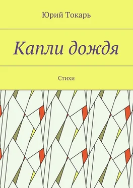 Юрий Токарь Капли дождя. Стихи обложка книги