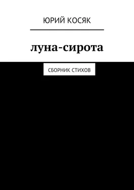 Юрий Косяк Луна-сирота. Сборник стихов обложка книги