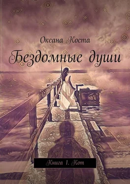 Оксана Коста Бездомные души. Книга 1. Кот обложка книги