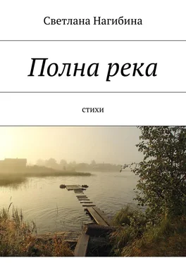 Светлана Нагибина Полна река. Стихи обложка книги