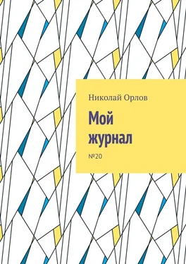 Николай Орлов Мой журнал. №20 обложка книги