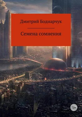 Дмитрий Боднарчук Семена сомнения обложка книги