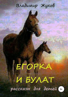 Владимир Жуков Егорка и Булат обложка книги