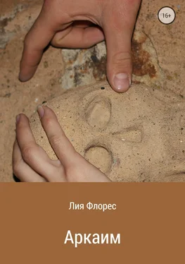 Лия Флорес Аркаим обложка книги