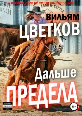 Вильям Цветков Дальше предела обложка книги