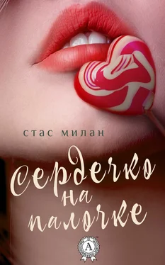 Стас Милан Сердечко на палочке обложка книги