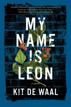 Kit de Waal My Name Is Leon обложка книги