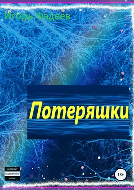 Игорь Фадеев Потеряшки обложка книги