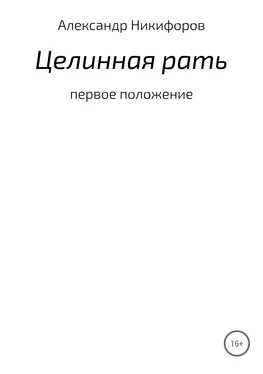 Александр Никифоров Целинная рать обложка книги